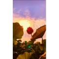 花824
