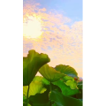 花825