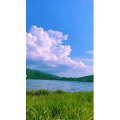 花831