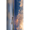 花833