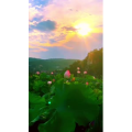 花834