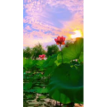 花847