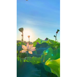 花848