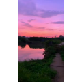 花849