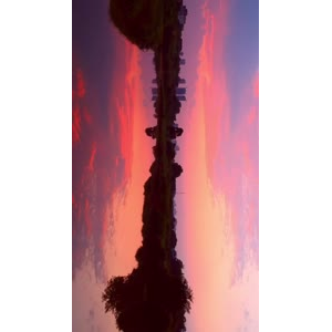 花852