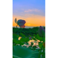 花858