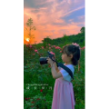 花885