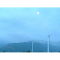 花894