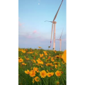 花896