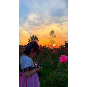 花900