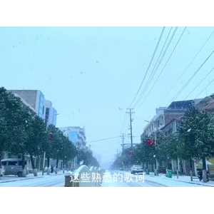 花990