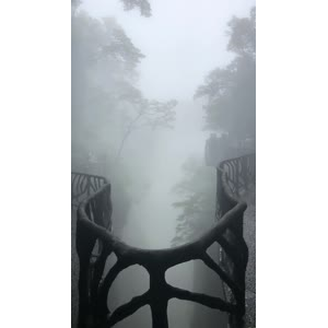 张家界7
