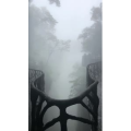 张家界7