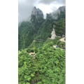 张家界9