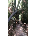 张家界12