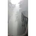 张家界34