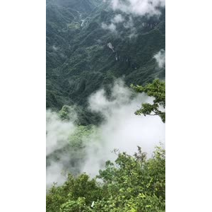 张家界41