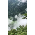 张家界41