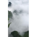 张家界56