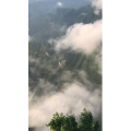 张家界65
