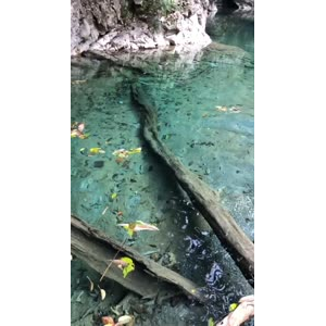 张家界73