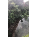 张家界78
