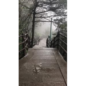 张家界90