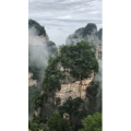 张家界99