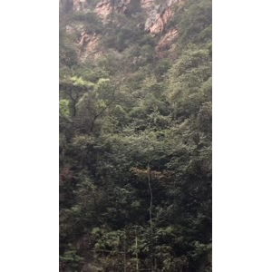 张家界113