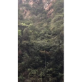 张家界113