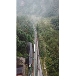 张家界119