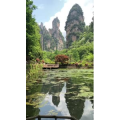 张家界132