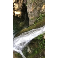 张家界135