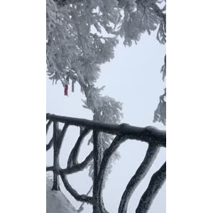 张家界138