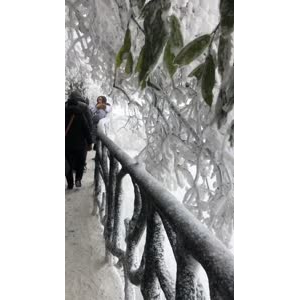 张家界139