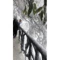 张家界139