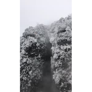 张家界141