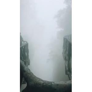 张家界165