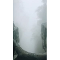 张家界165