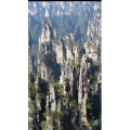 张家界170