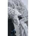 张家界173