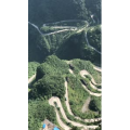 张家界174