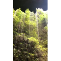 张家界180