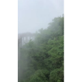 张家界186