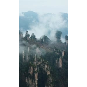 张家界203