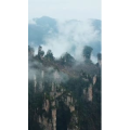 张家界203