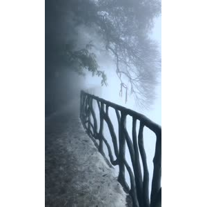张家界204