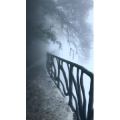 张家界204
