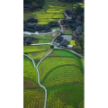 张家界205