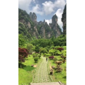 张家界212